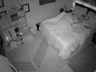 The Horny Hostel - Bedroom 2